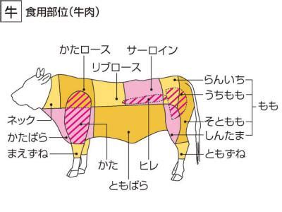 牛 意味|「牛(ウシ)」の意味や使い方 わかりやすく解説 Weblio辞書